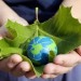 Nuova Autorizzazione Unica Ambientale (AUA): in vigore da domani 13 giugno