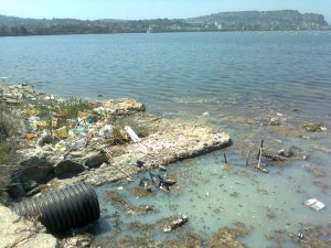 Inquinamento dei laghi, la situazione e’ critica