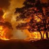 I geologi: “Dopo l’allarme siccità, dobbiamo fare i conti con l’emergenza incendi. Serve un intervento dello Stato per salvaguardare i territori coinvolti dai roghi”