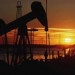 Petrolio, tra sviluppo e pericolo ambientale
