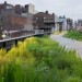 Tre metri quadrati in dieci anni: il verde urbano pro capite è in aumento