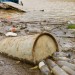 Inquinato il 40% di fiumi italiani. Il Paese rischia una sanzione Ue