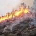 Incendi: sono 1.850 i roghi divampati in Italia, -58%