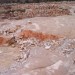 I geologi: “le pietre pugliesi sono di interesse mondiale”