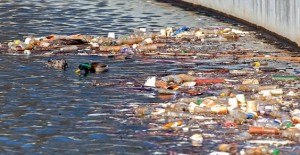 Fiumi e laghi italiani: il 40 per cento è inquinato