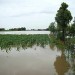 Geologi: oltre 6 milioni di italiani esposti alle inondazioni