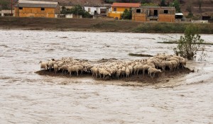 Sardegna, ciò che resta dopo l’alluvione