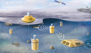 Prevedere i terremoti grazie a una rete di sensori sottomarini: la proposta dei sismologi