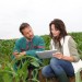 Competenze professionali: agli Agrotecnici la progettazione e direzione delle opere di trasformazione e miglioramento fondiario