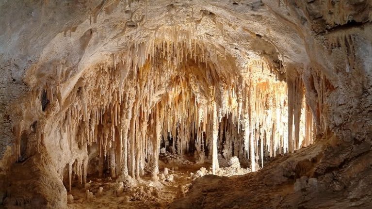 Grotte di Castellana caccia ai predoni “Così difendiamo i tesori sotto terra”