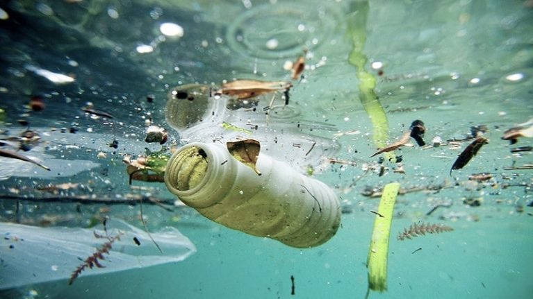 In fondo al mare più plastica che vita