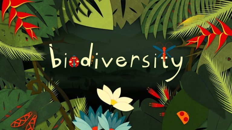 Perché sulla Terra c’è così tanta biodiversità? La risposta è sulle montagne