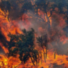Incendi in Sardegna, geologi: ambiente e territorio una ineludibile priorità nell’agenda politica italiana